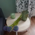 公寓 Einfuehrungspreis Gemuetliche Auszeit - Designwohnung - 4 Sterne Hotelboxspringbetten - Kueche - Familie - Erdgeschoss