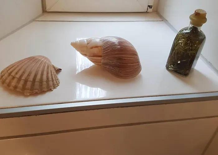 Appartement Einfuehrungspreis Gemuetliche Auszeit - Designwohnung - 4 Sterne Hotelboxspringbetten - Kueche - Familie - Erdgeschoss *